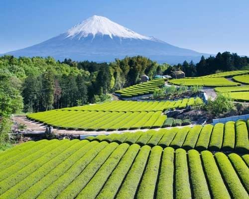 Mount Fuji, Japan