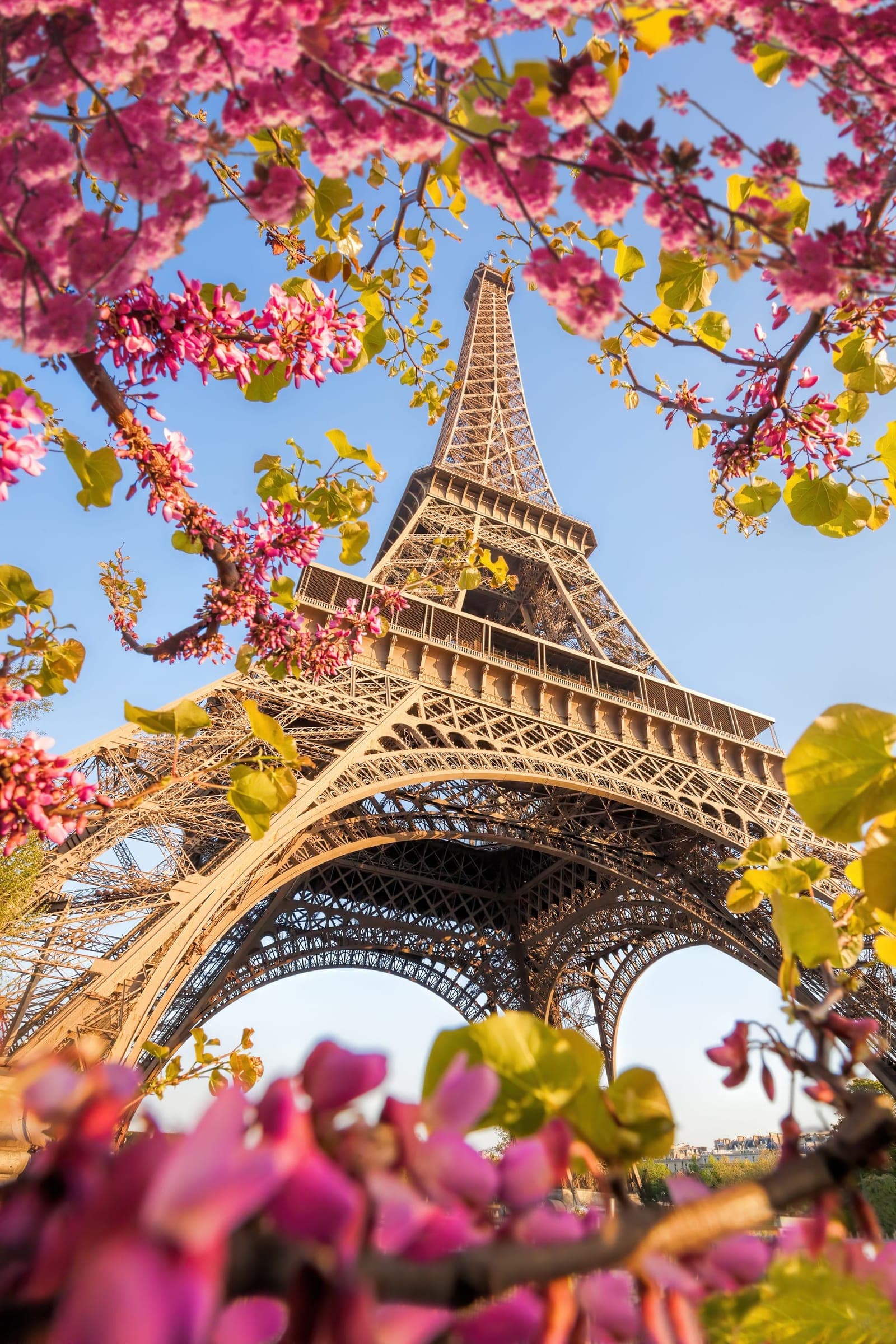 Eiffel Tower