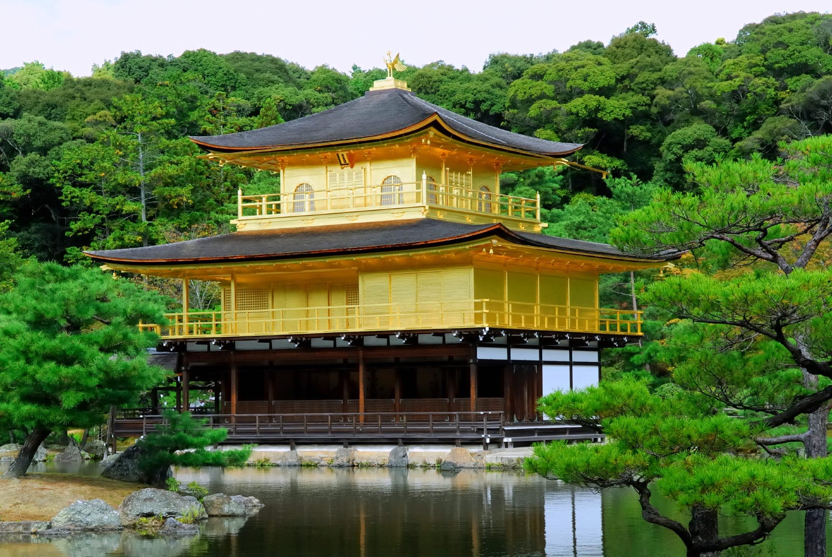 Golden Temple of Kyoto